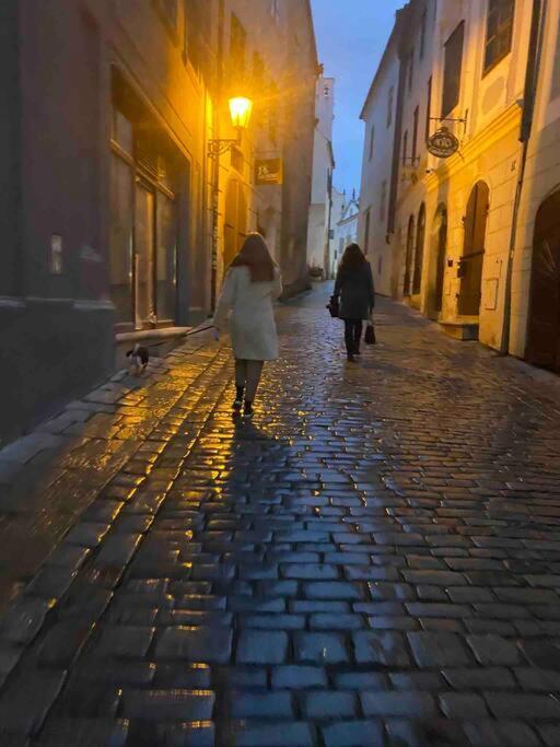Unesco 14 Century Český Krumlov Exteriör bild