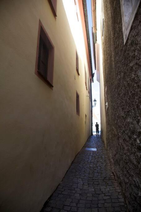 Unesco 14 Century Český Krumlov Exteriör bild